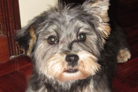 Benny